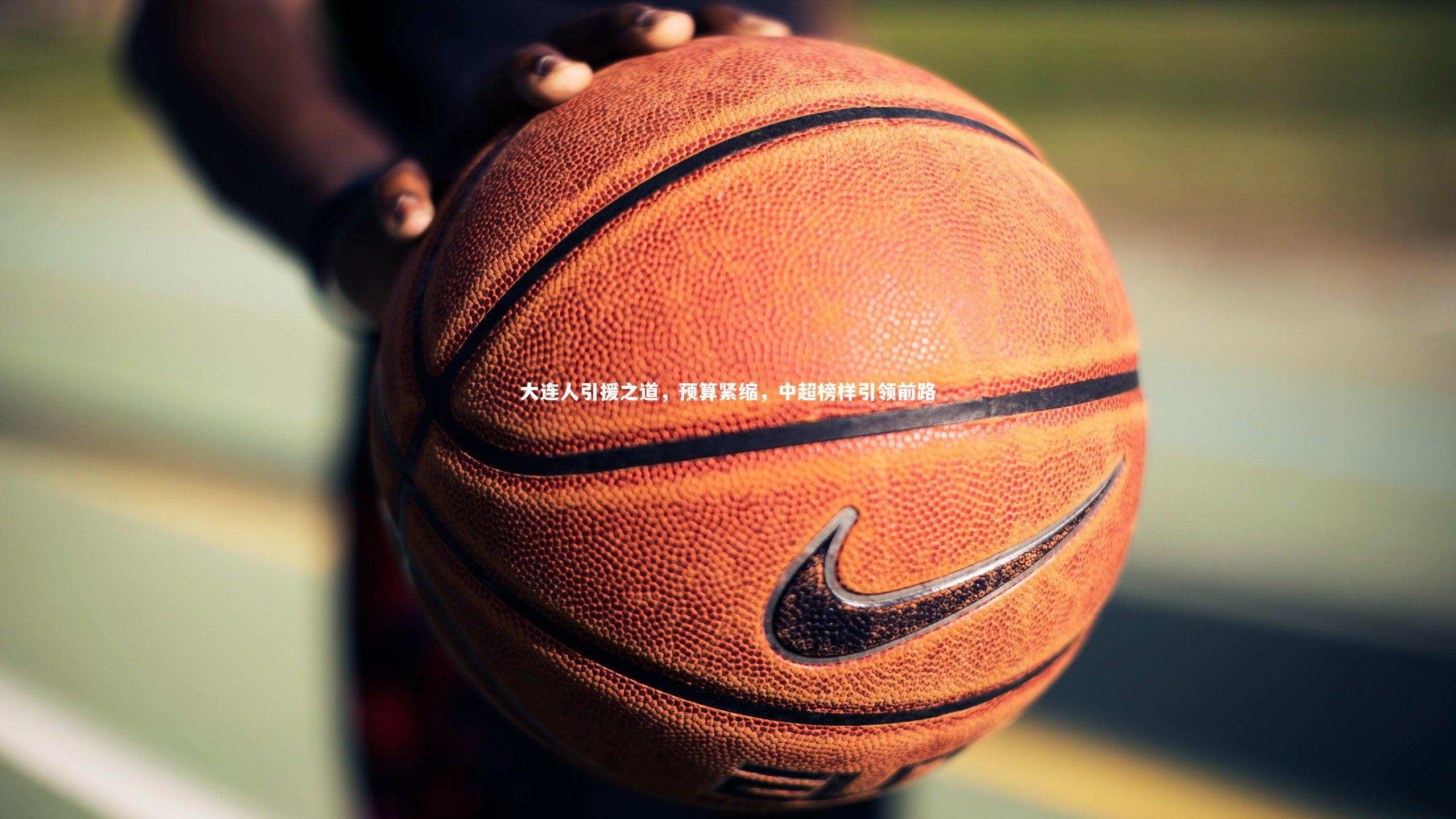 九游体育官网-大连人引援之道，预算紧缩，中超榜样引领前路