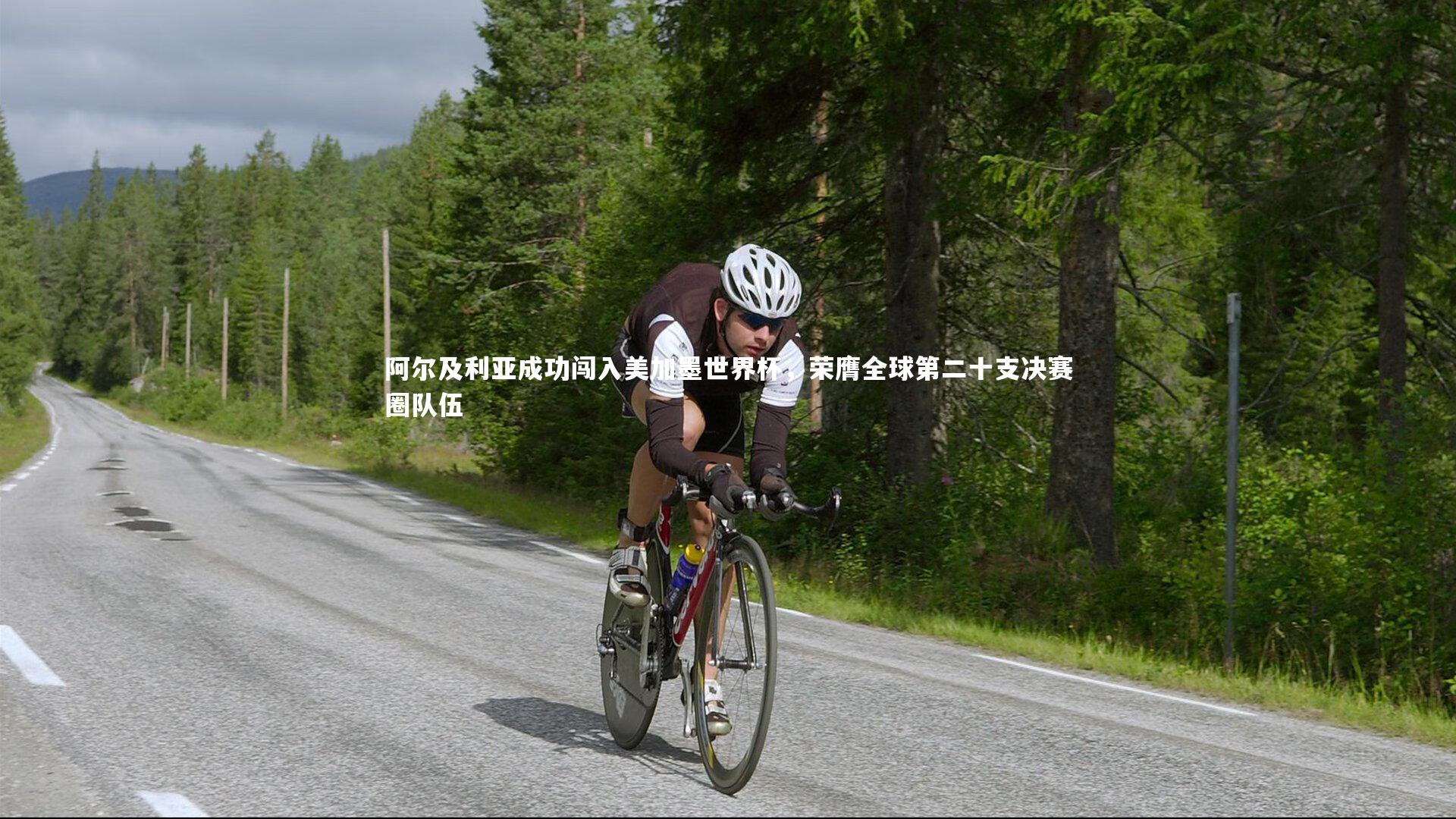 阿尔及利亚成功闯入美加墨世界杯，荣膺全球第二十支决赛圈队伍